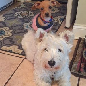 Meet your Posher, Jackie